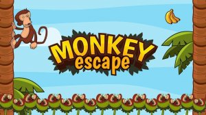 Jungle Path Puzzle