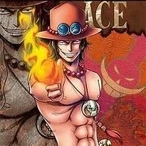One Piece Final Fight 0.9 Online Game
