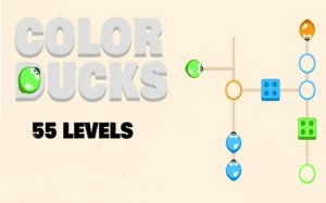 Color Ducks Logic Puzzle Game