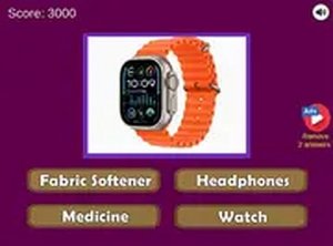 Common Objects Guessing Quiz